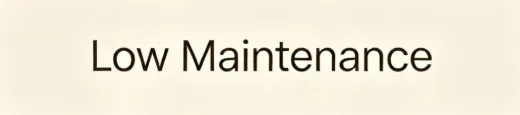2. Low Maintenance