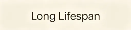 3. Long Lifespan